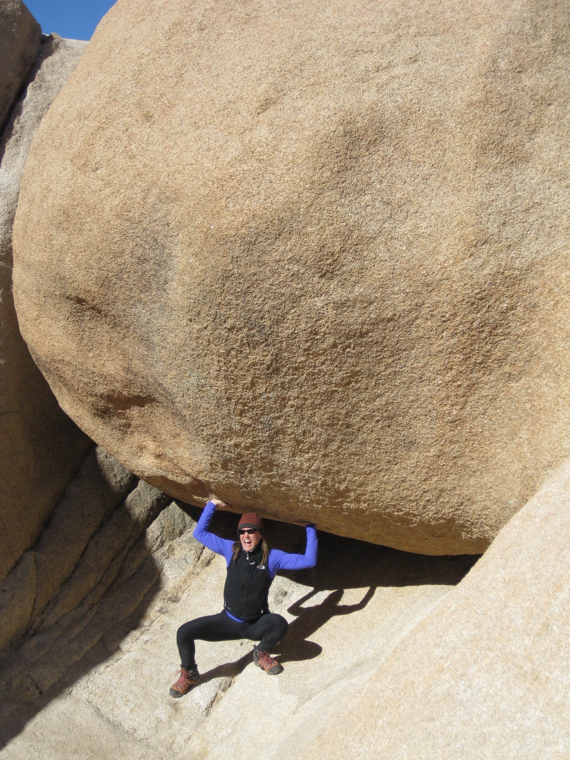 Joshua Tree