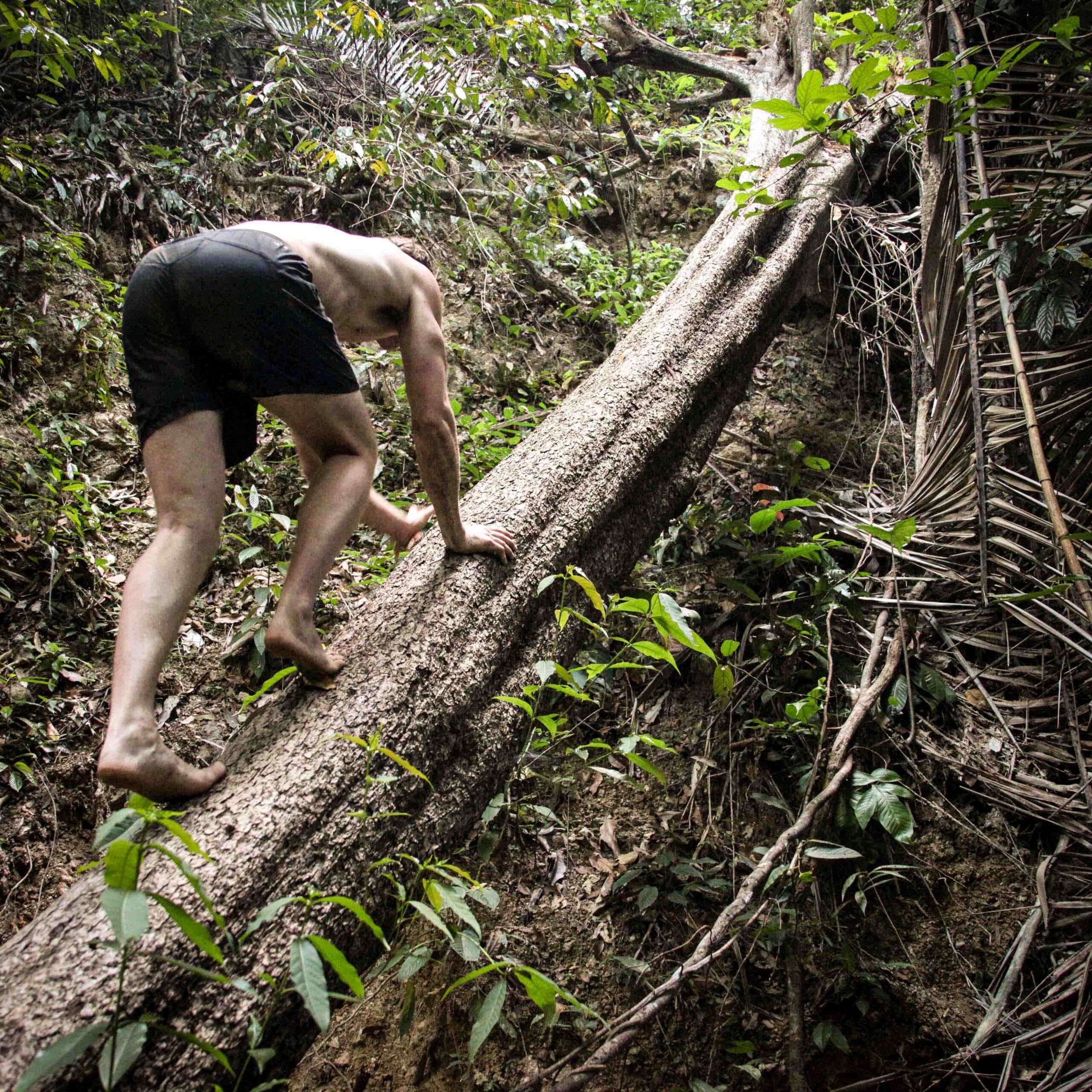 Adaptability: The Missing Link in Fitness