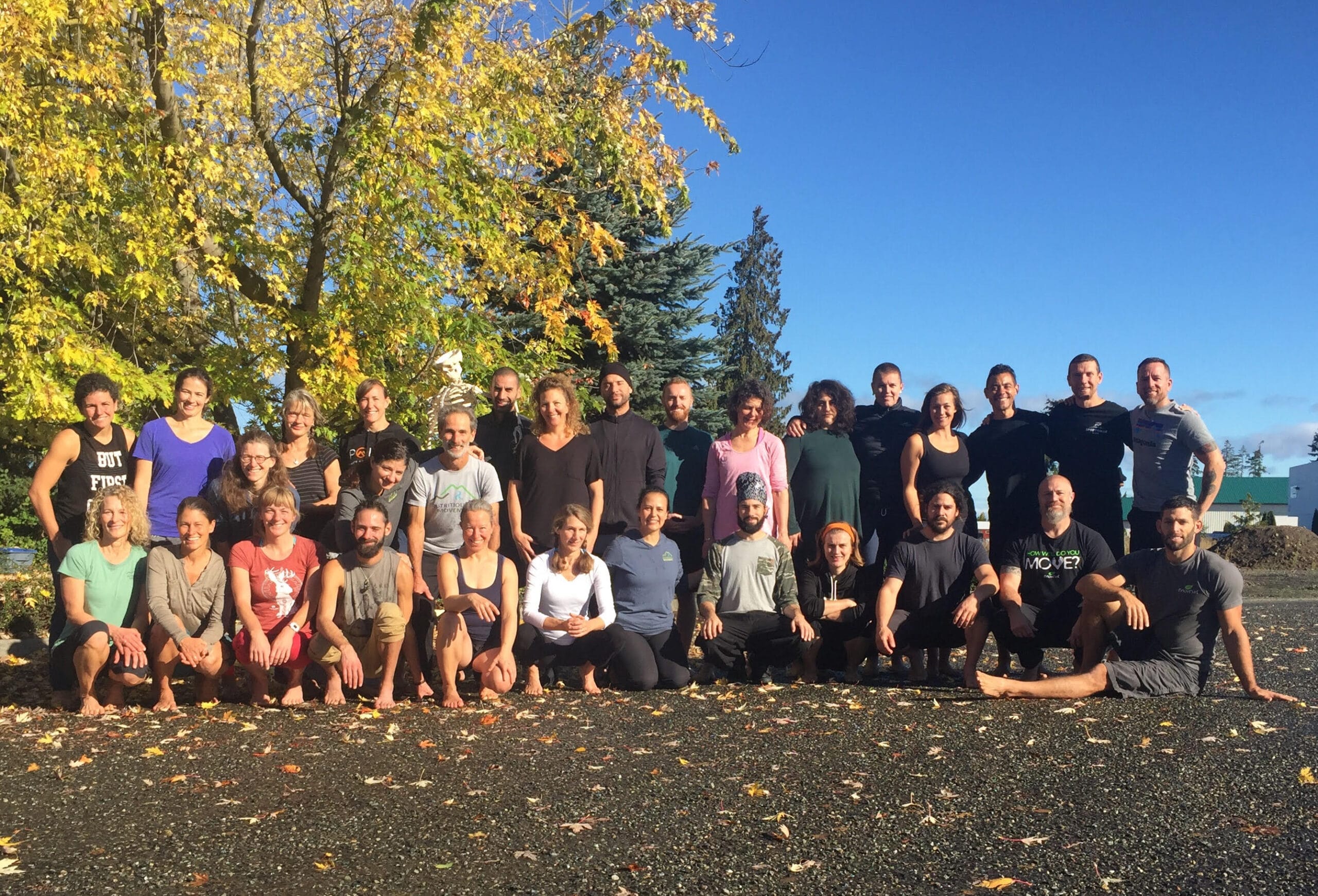 United By Movement: 3 Lessons Learned From Two Complementary Movement Systems