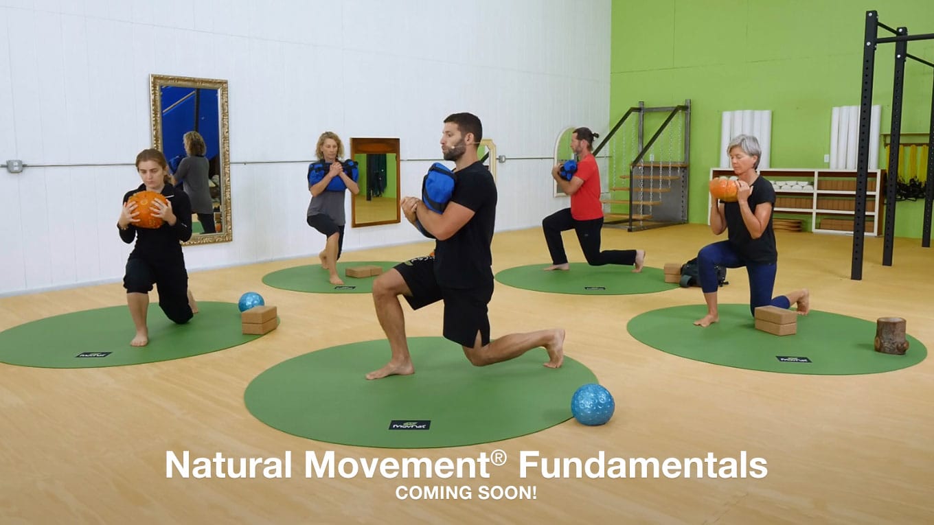 Natural Movement Fundamentals: An Accessible and Progressive E-Course (Coming Soon)