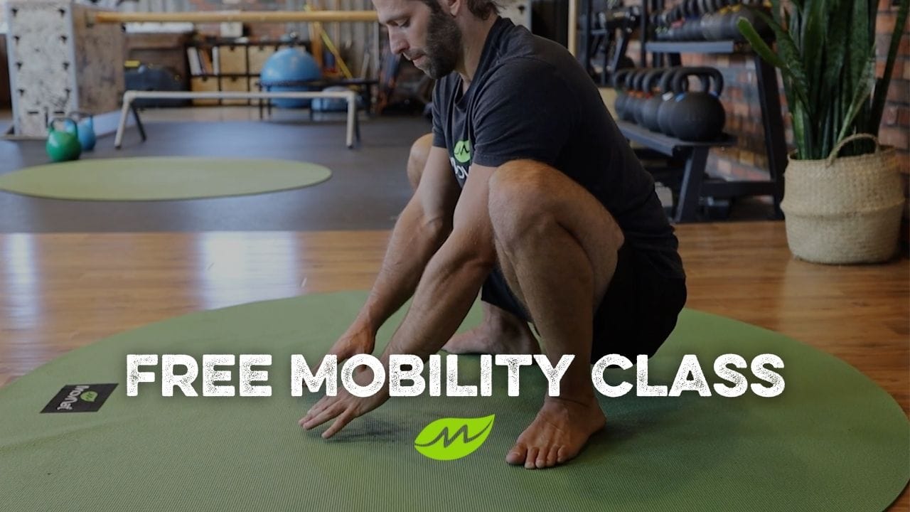MovNat Mobility – FREE CLASS