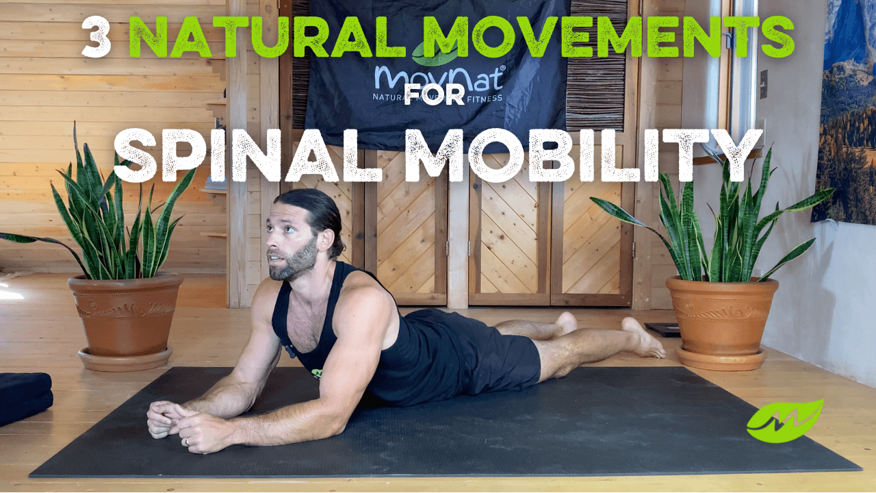 3 Natural Movements for Spinal Mobility