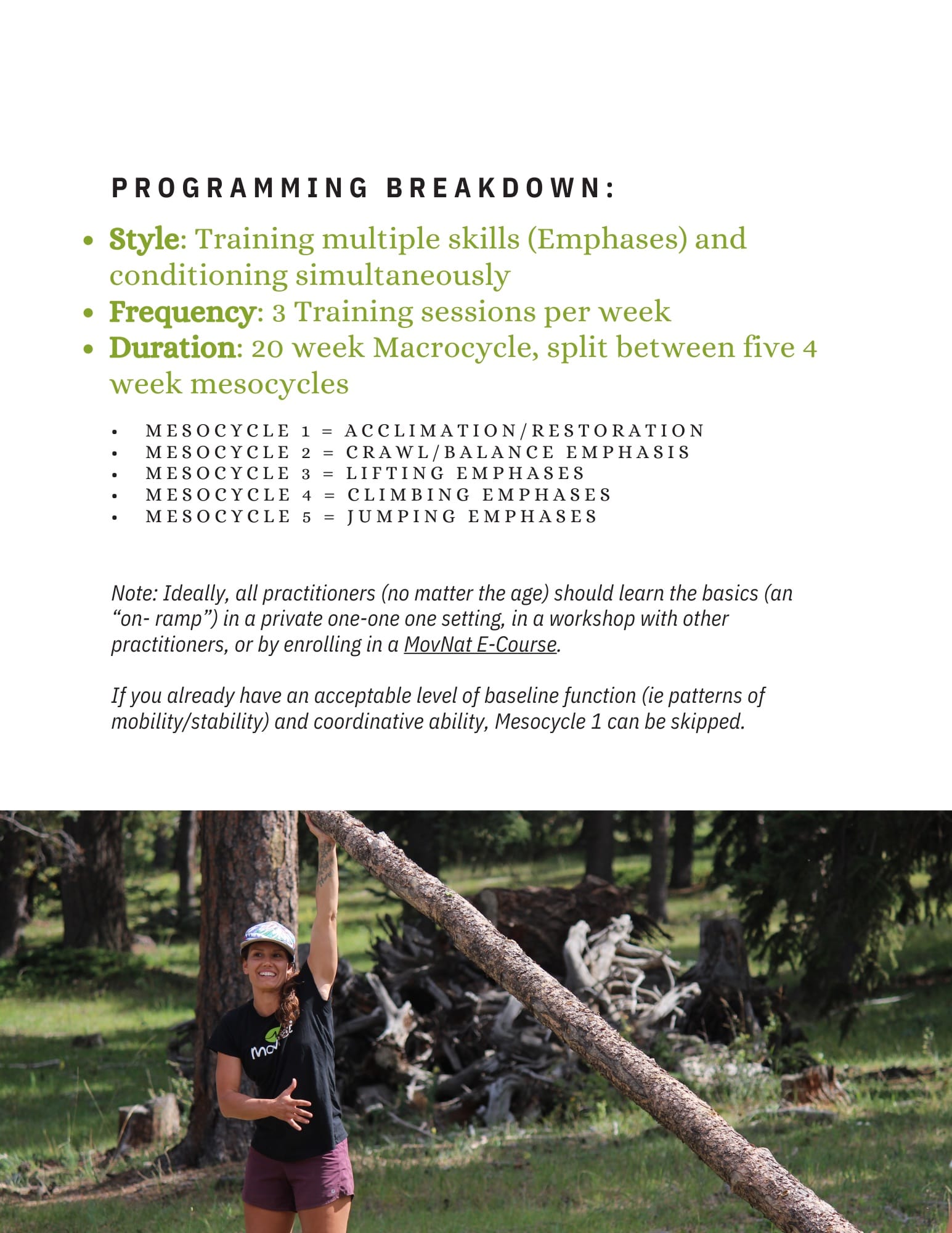 E-Book Bundle: Beginner & Intermediate MovNat Training Guides - Image 4