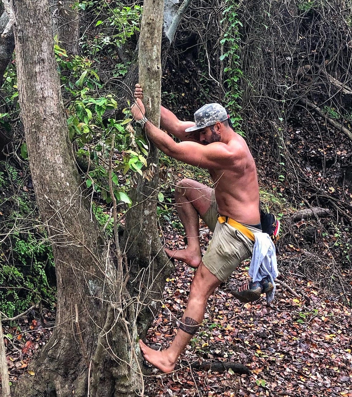 Marcelo-climbing-tree