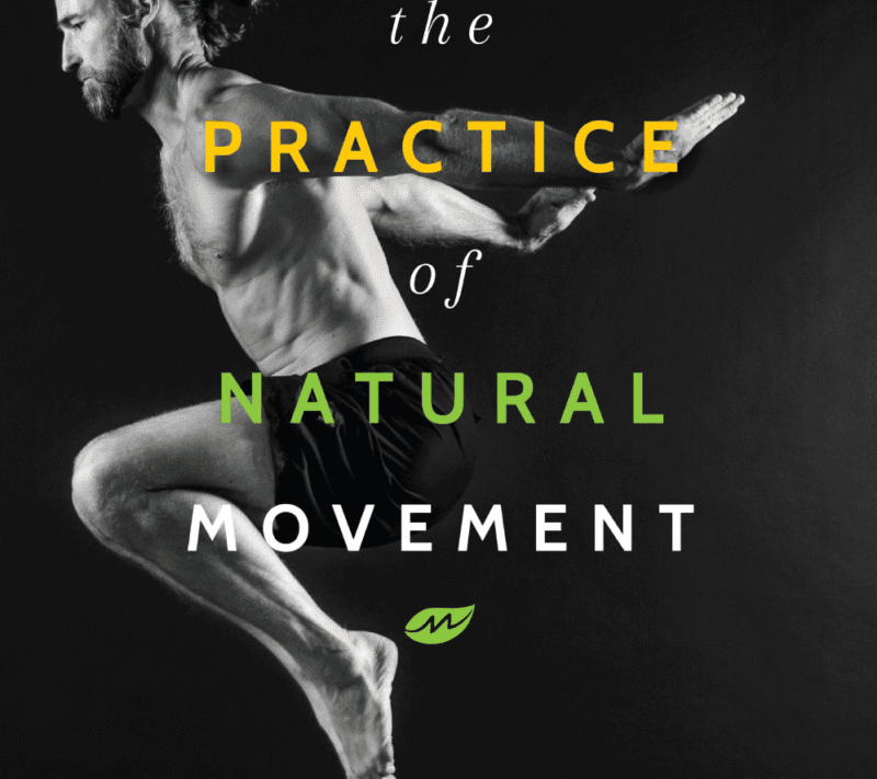 E-Book: The Practice of Natural Movement - Addendum