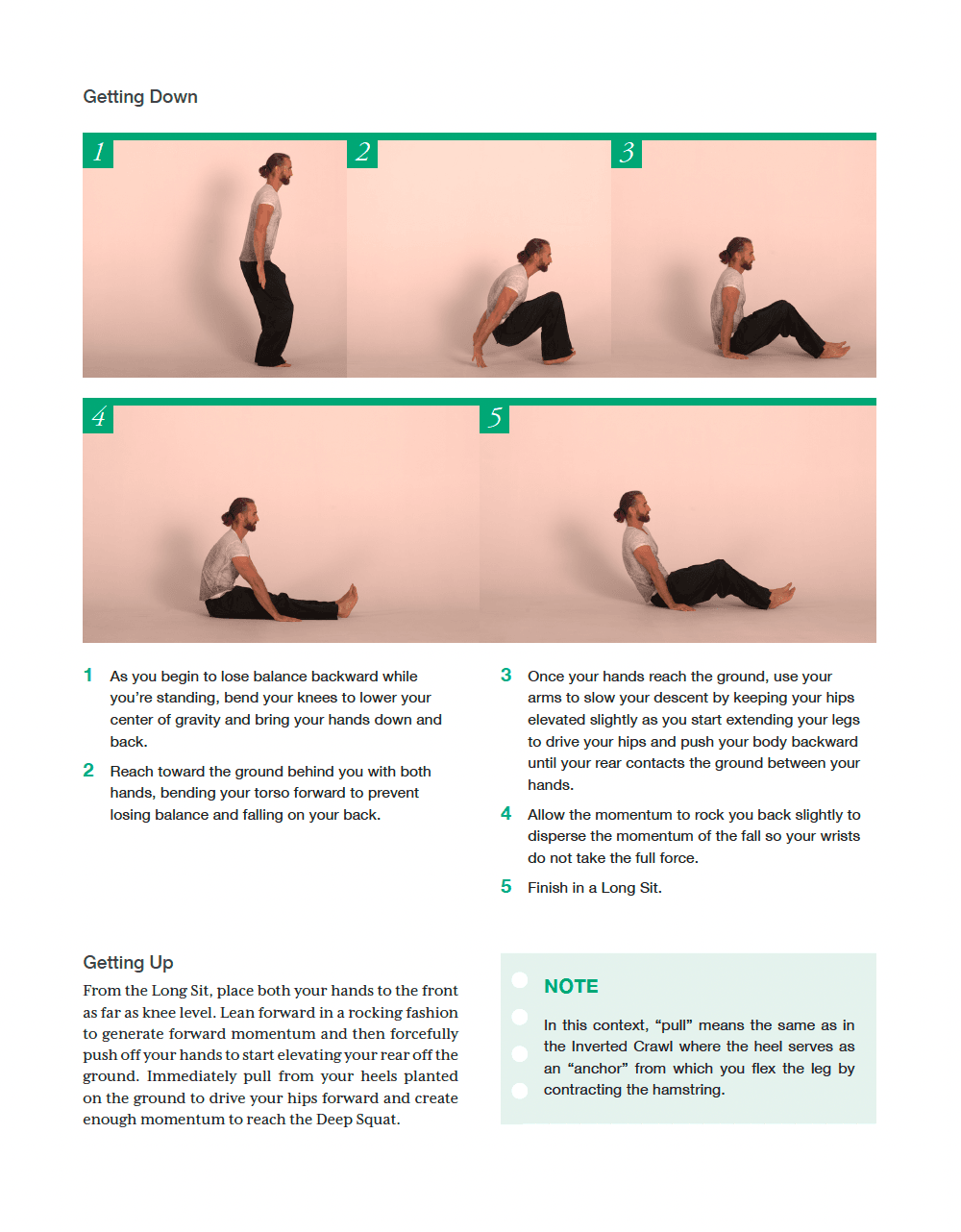 E-Book: The Practice of Natural Movement - Addendum - Image 4