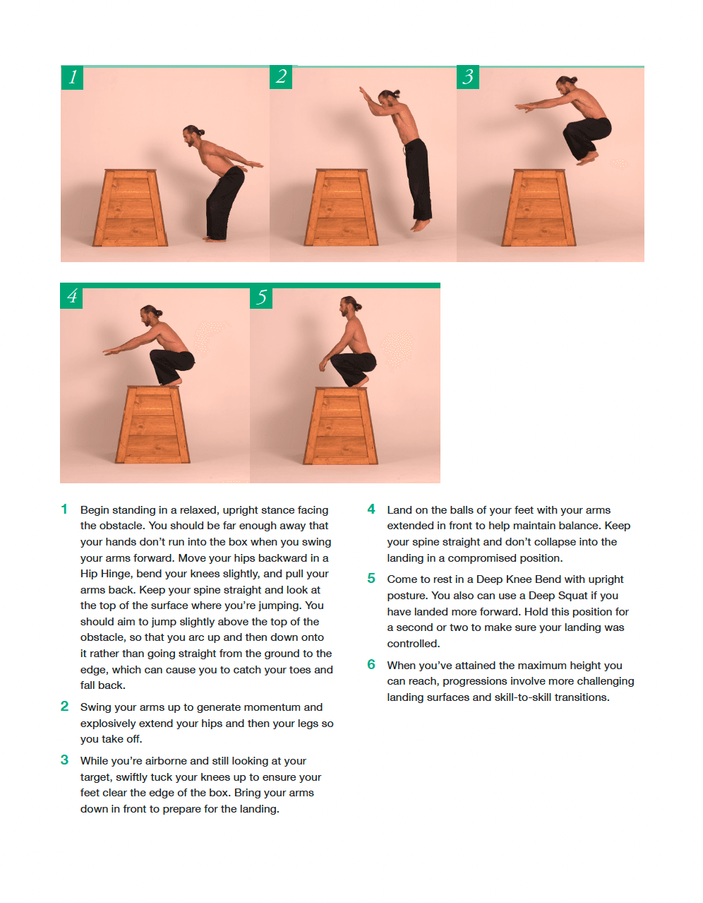 E-Book: The Practice of Natural Movement - Addendum - Image 5
