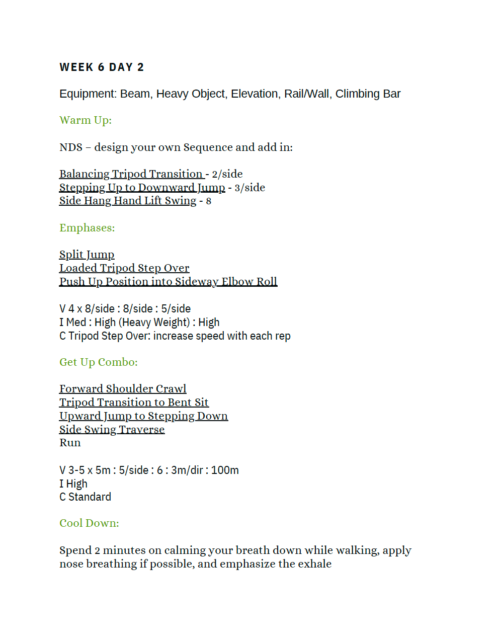 E-Book: Intermediate MovNat Training Guide - Image 5