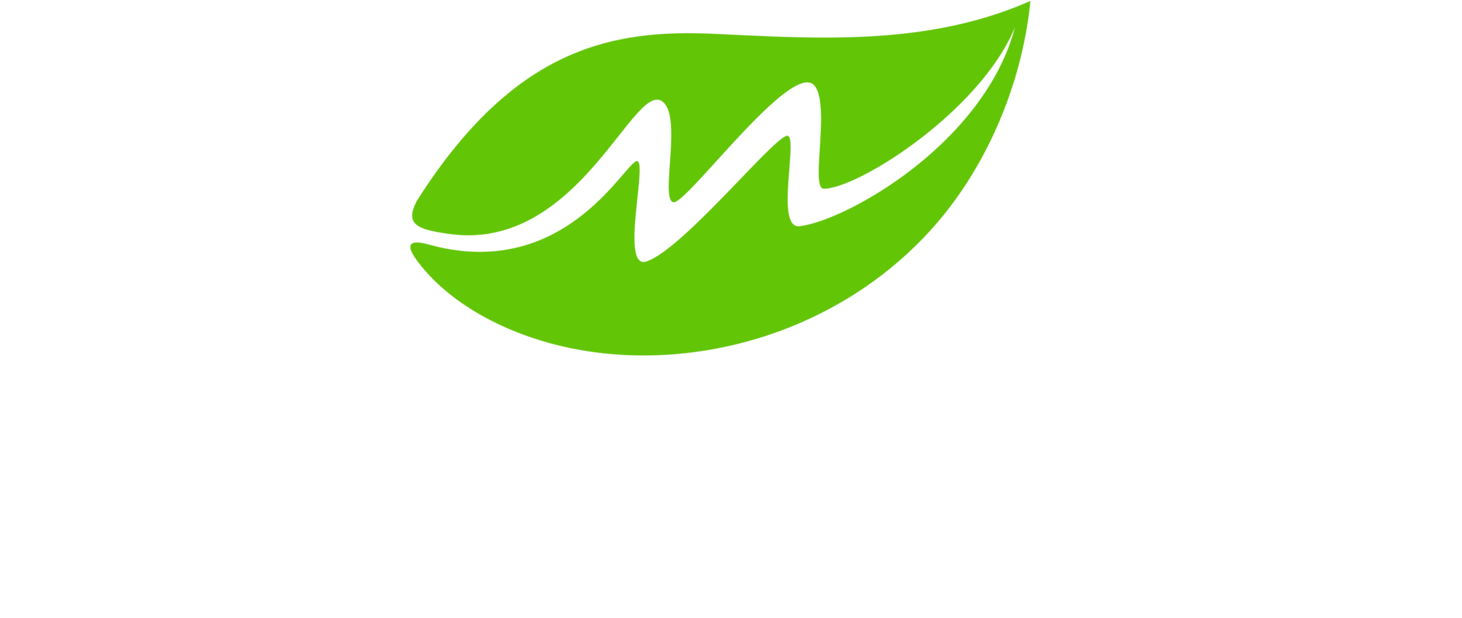 MovNat